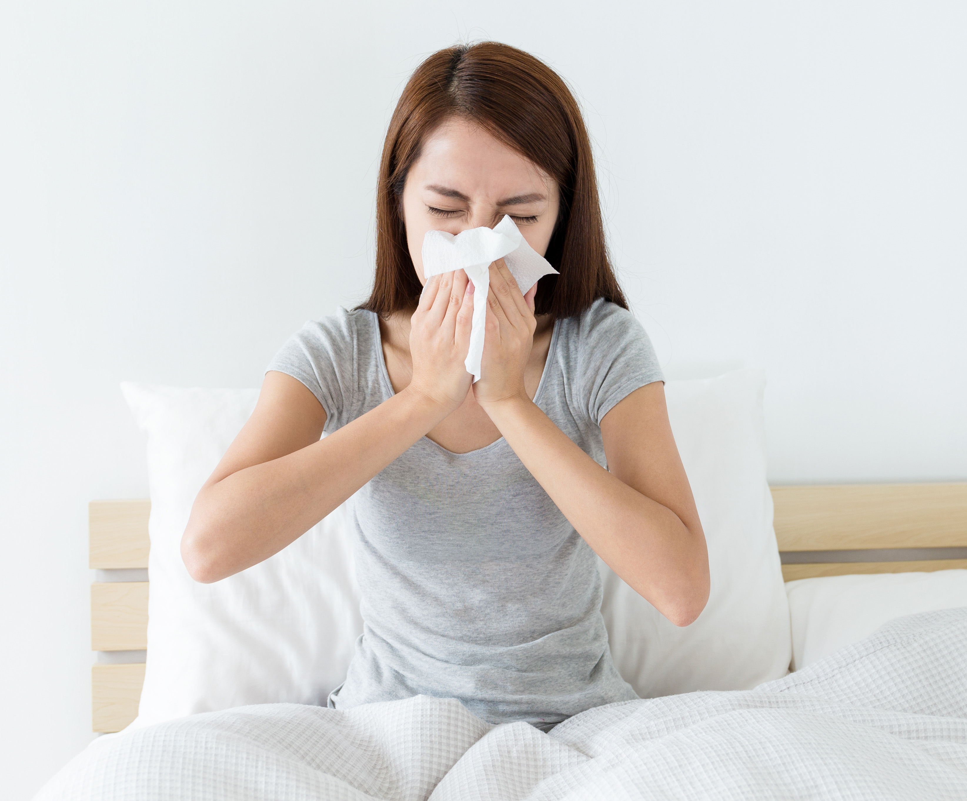 Allergikerbettwäsche bei Hausstaubmilbenallergie Allergikerbettwäsche bei Hausstaubmilbenallergie